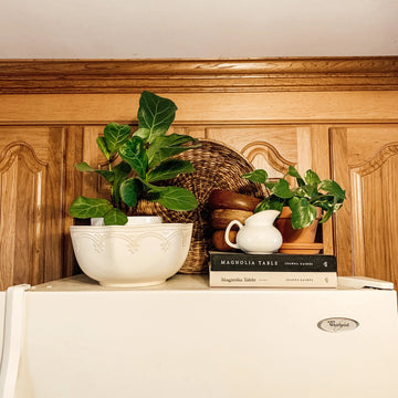 9 Idées Décoration Dessus Frigo pour Sublimer l'Esthétique de Votre Cuisine
