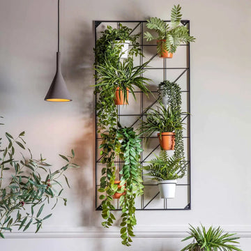 7 Idées de Mur Végétal pour Sublimer Instantanément votre Décoration Intérieure